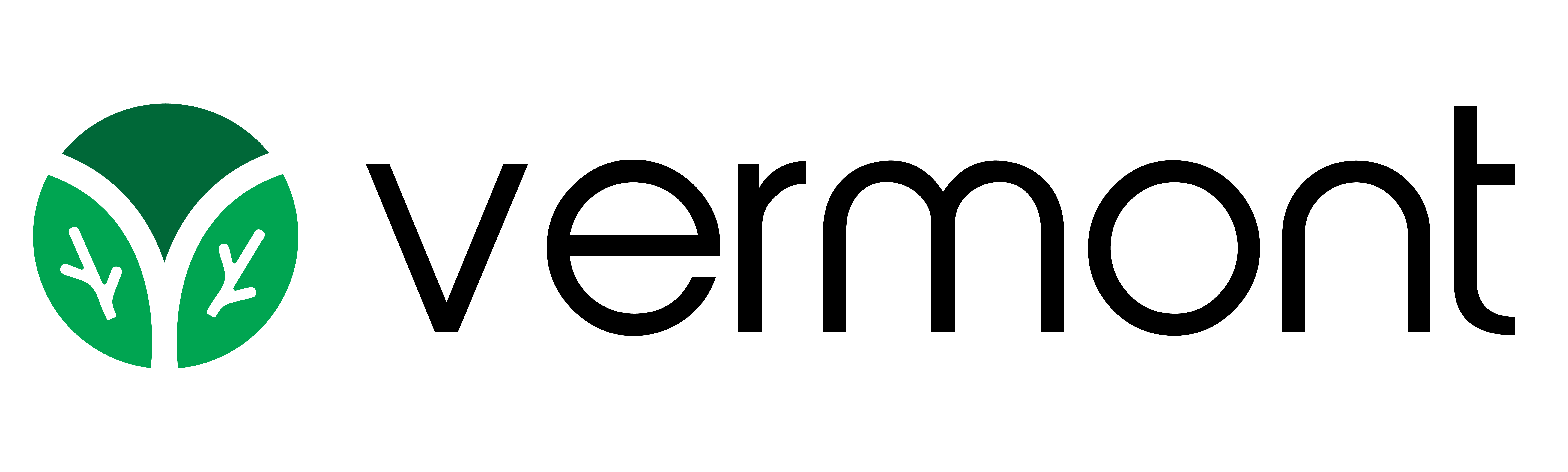 Logo Vermont